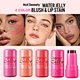 Blusher STICK cheeks